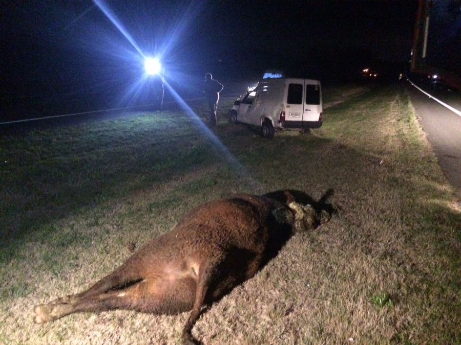 El eterno femenino de una imaginativa pintora