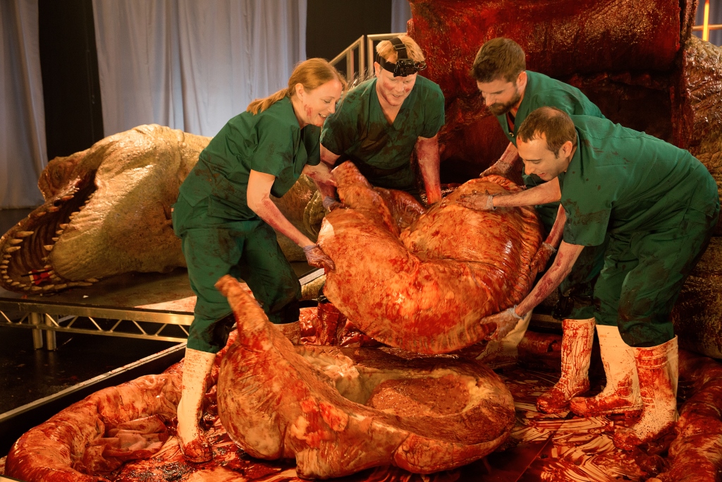 Separan el estómago. Foto: Nat Geo