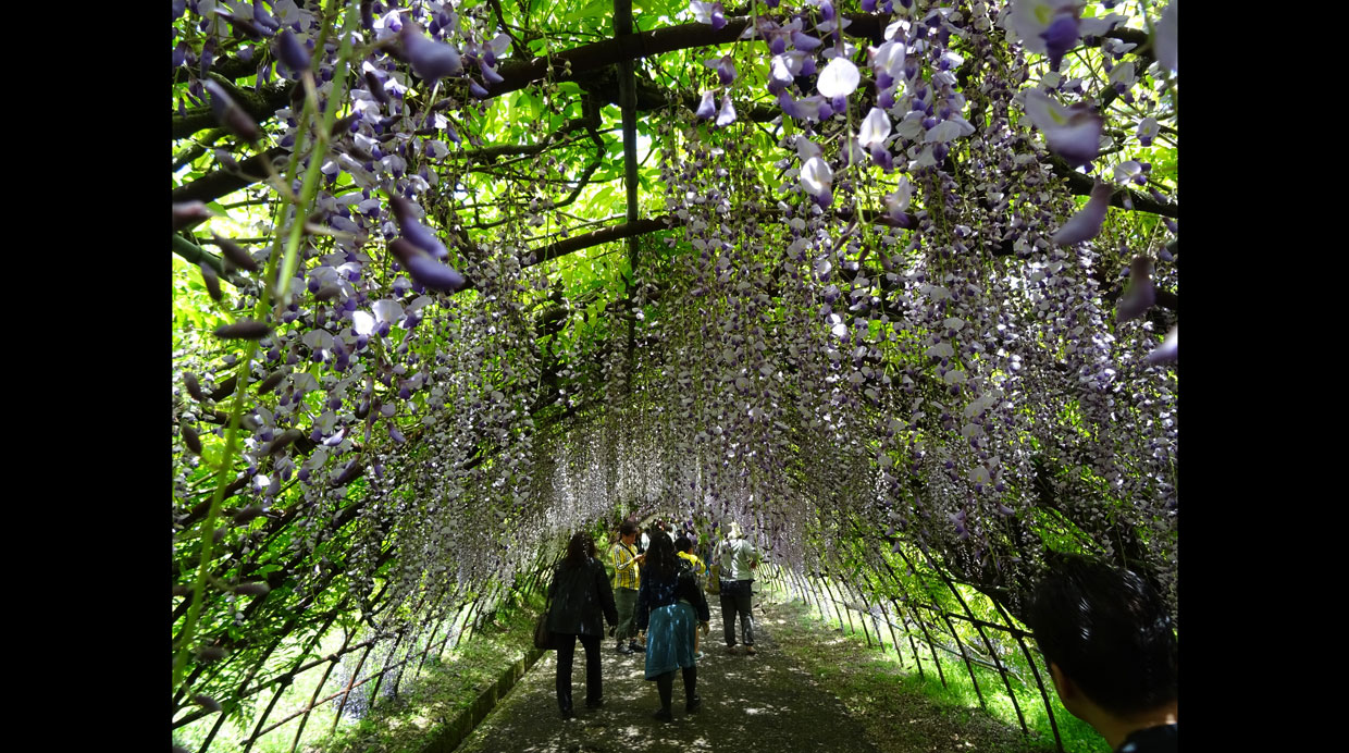 Foto: Flickr Creative Commons / Inazakira