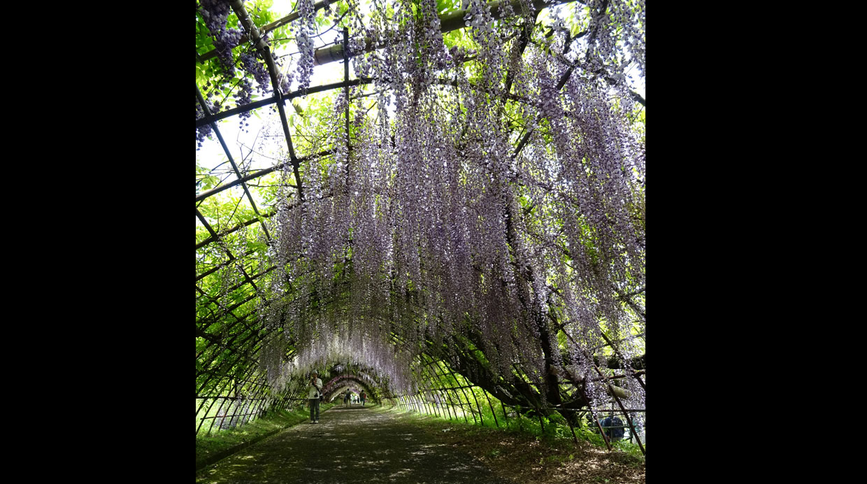 Foto: Flickr Creative Commons / Inazakira)