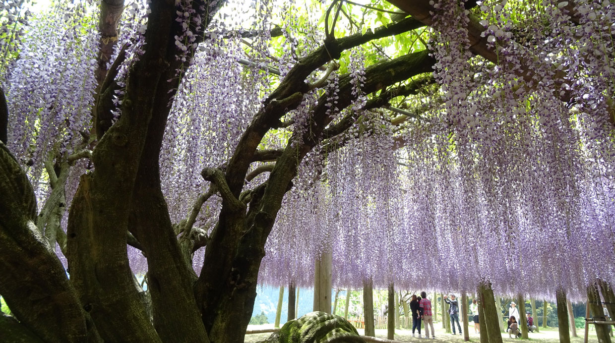 Foto: Flickr Creative Commons / Inazakira)