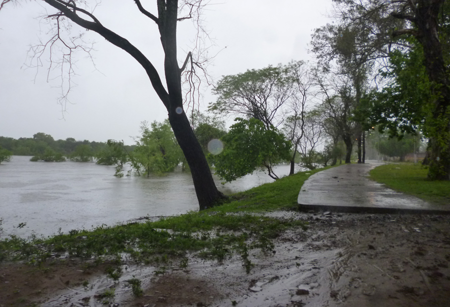 El eterno femenino de una imaginativa pintora