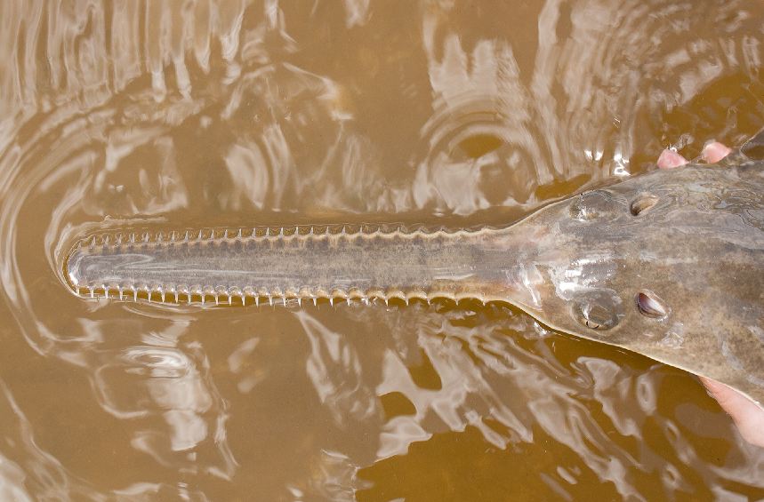 El eterno femenino de una imaginativa pintora