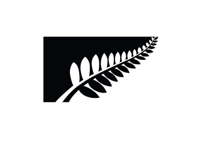 Helecho de plata en blanco y negro.