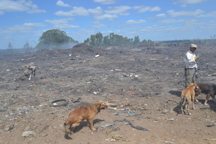 El eterno femenino de una imaginativa pintora