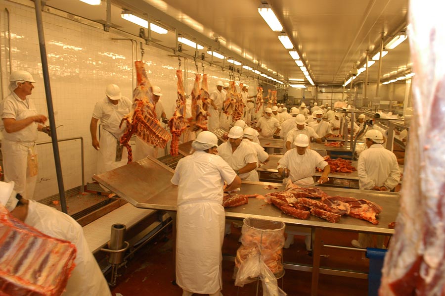 El eterno femenino de una imaginativa pintora