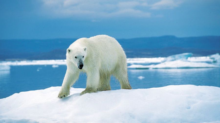 El eterno femenino de una imaginativa pintora