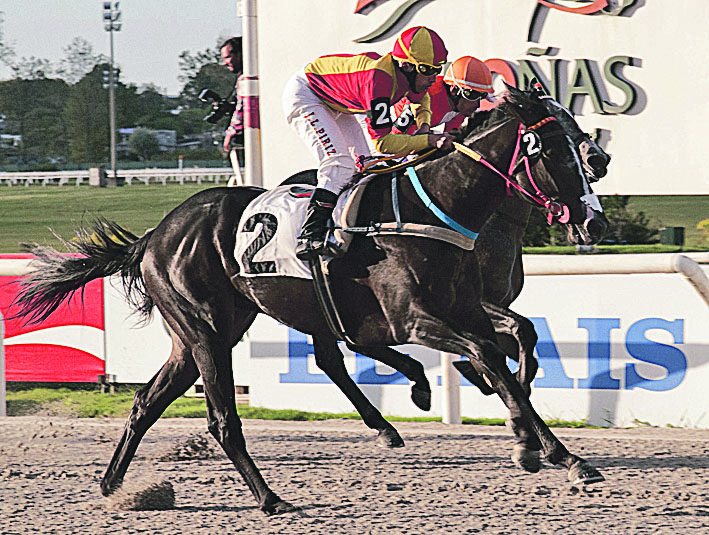 El eterno femenino de una imaginativa pintora