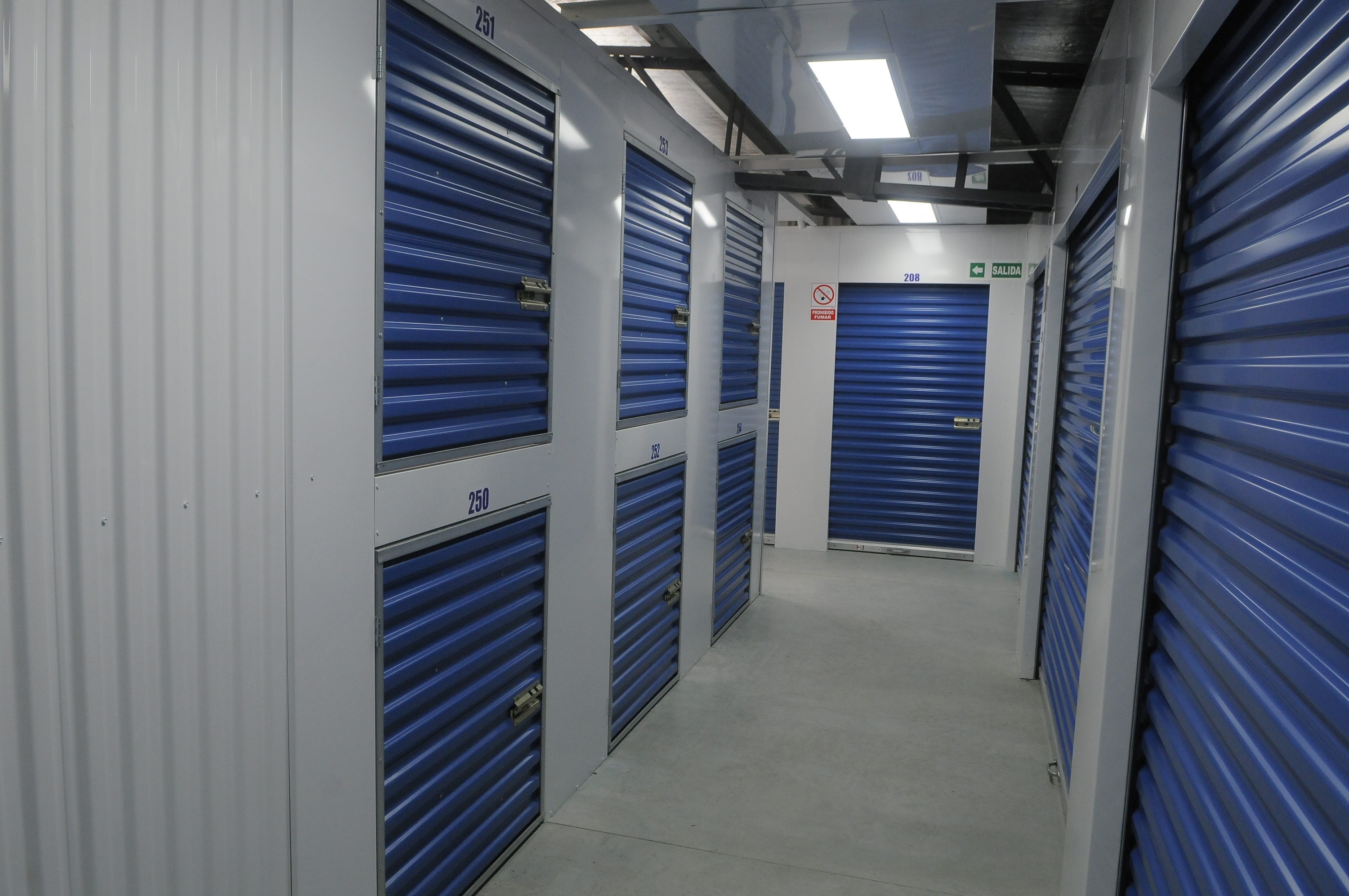 El eterno femenino de una imaginativa pintora