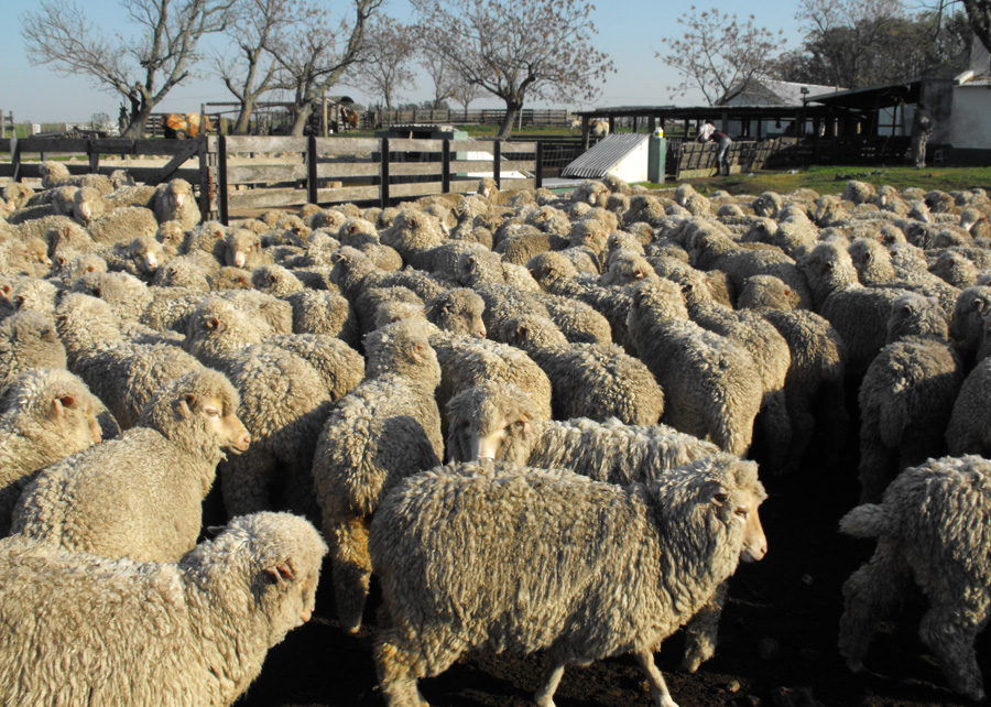 El eterno femenino de una imaginativa pintora