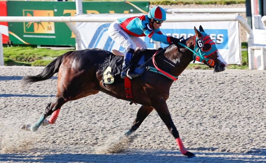 El eterno femenino de una imaginativa pintora