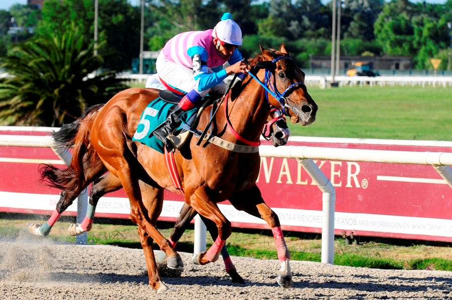 Velocidad. Toda Una Leona domina el rubro