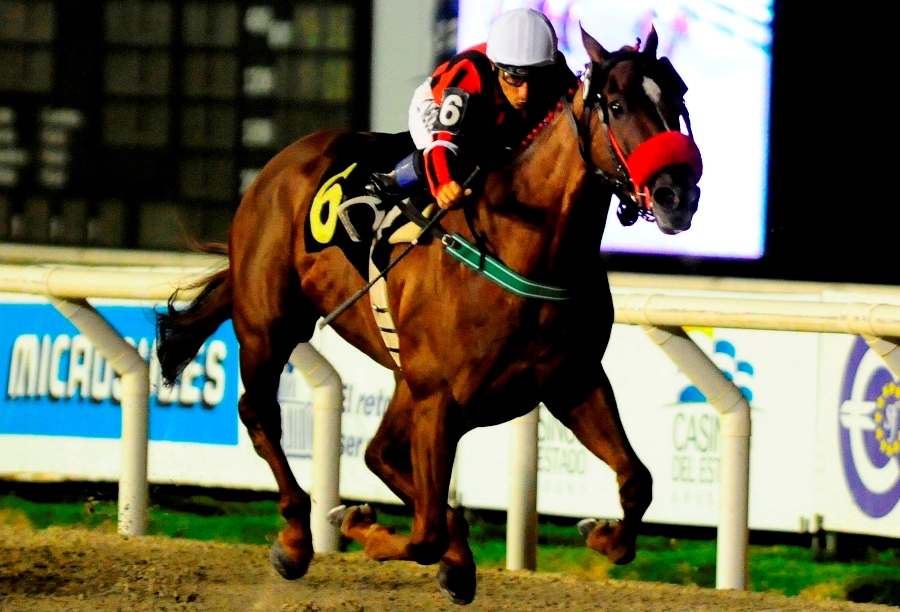 Milla. Jardim di Napoli sin rivales a la vista