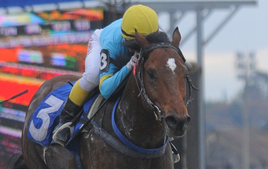 Fondo. Oggigiorno es el mejor ranqueado