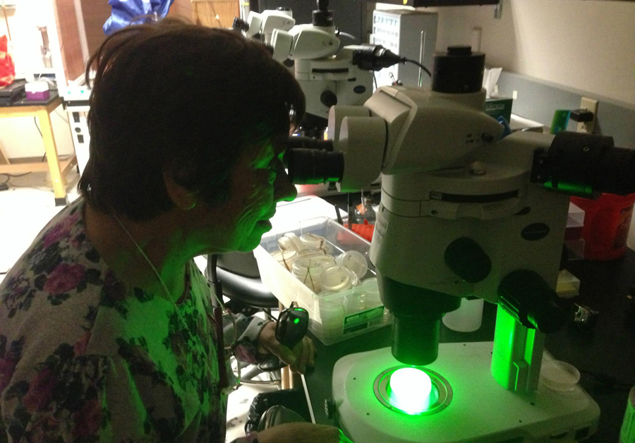 El eterno femenino de una imaginativa pintora