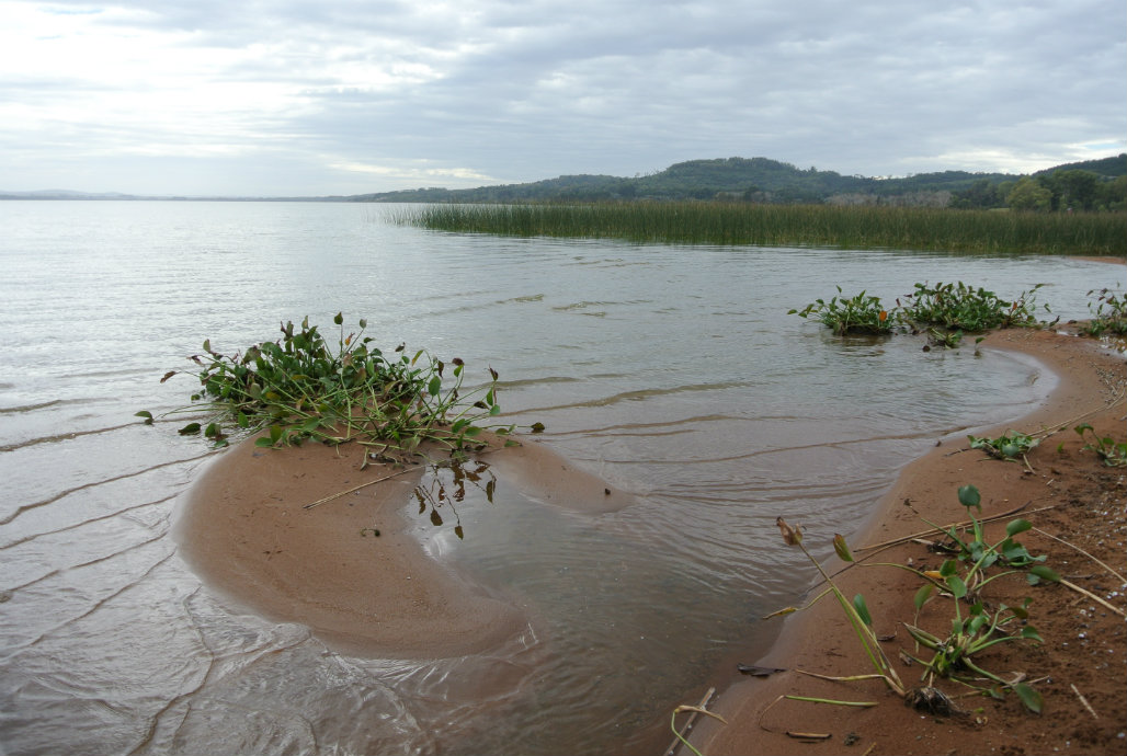 El eterno femenino de una imaginativa pintora