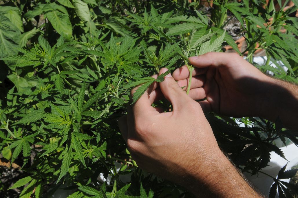 El eterno femenino de una imaginativa pintora