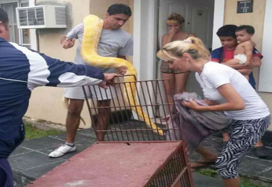 El eterno femenino de una imaginativa pintora