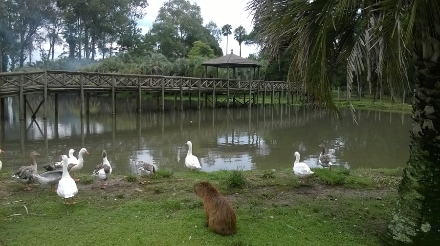 El eterno femenino de una imaginativa pintora