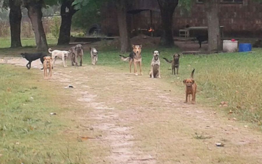 El eterno femenino de una imaginativa pintora