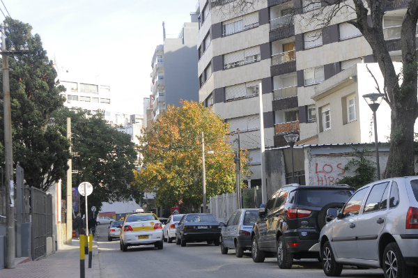 El Camino de los Hormigueros, en Pocitos.