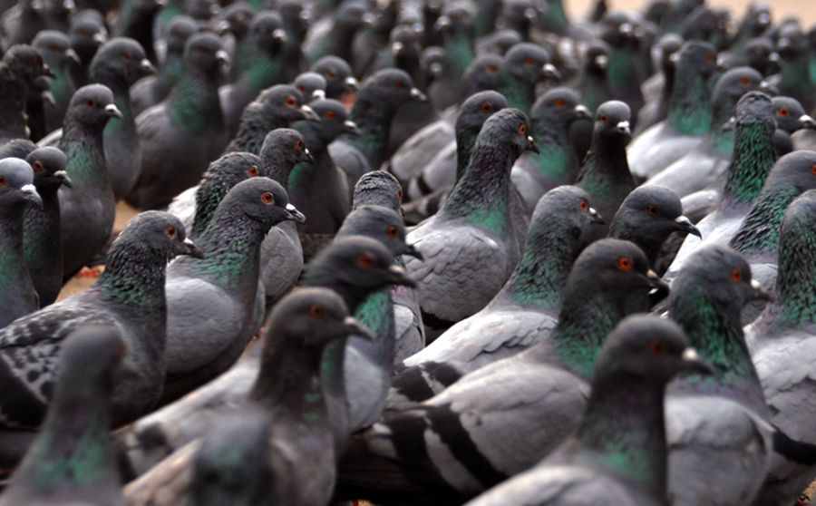 El eterno femenino de una imaginativa pintora