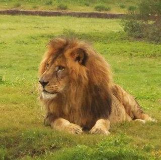 El eterno femenino de una imaginativa pintora