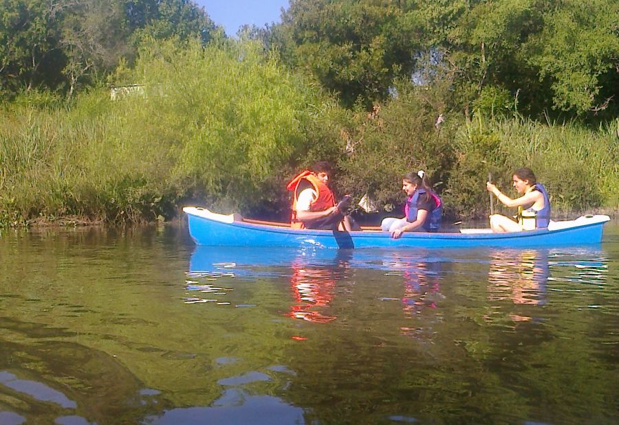 El eterno femenino de una imaginativa pintora