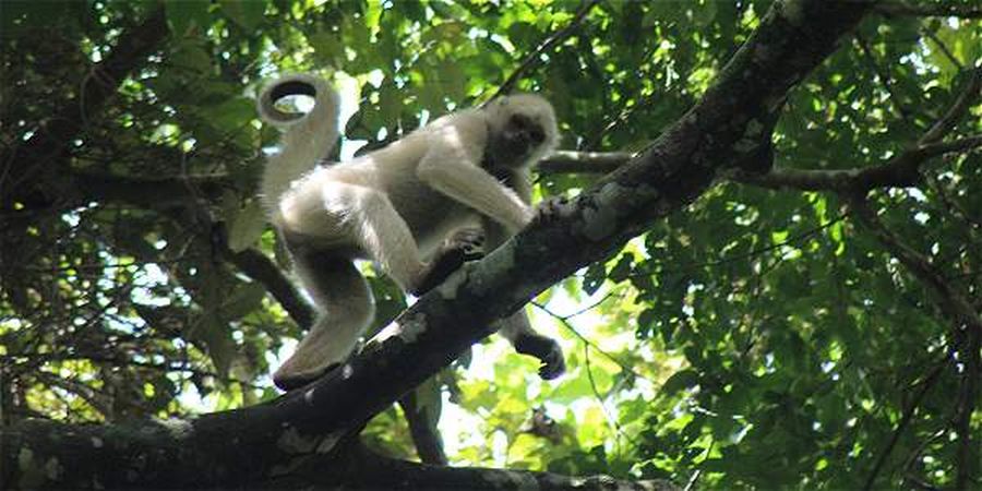 El eterno femenino de una imaginativa pintora