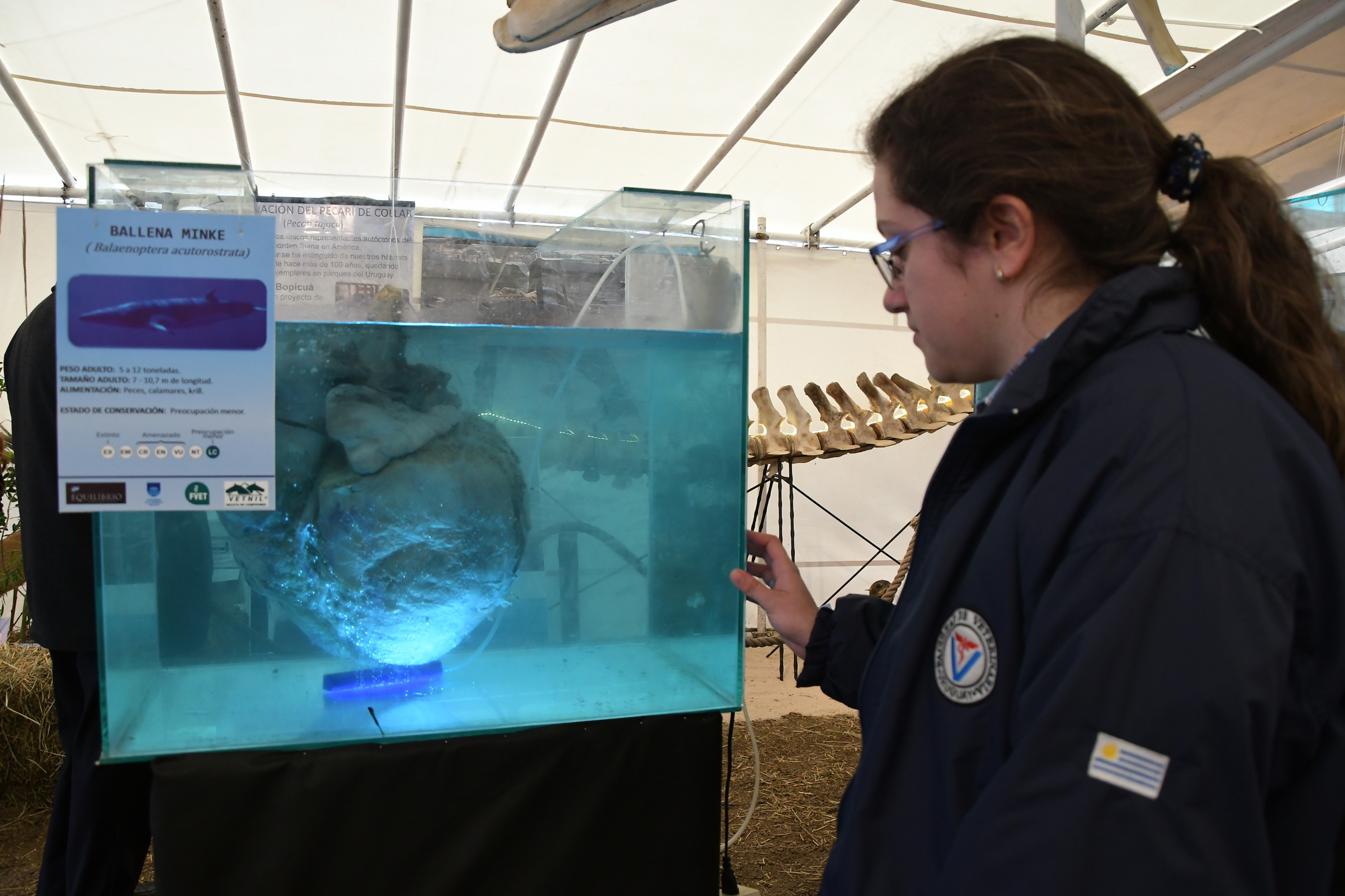 El eterno femenino de una imaginativa pintora