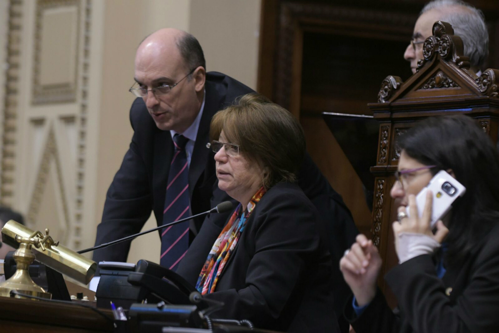 Mónica Xavier preside la Asamblea General. Foto: Francisco Flores.