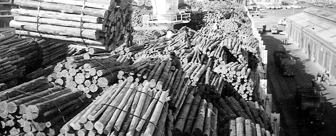 El eterno femenino de una imaginativa pintora