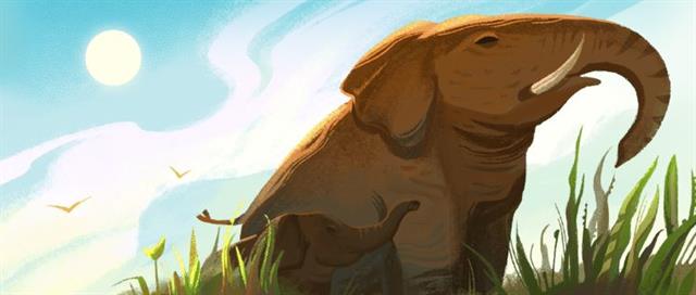 Elefantes en el parque Nacional Khao Yai. Foto: Captura