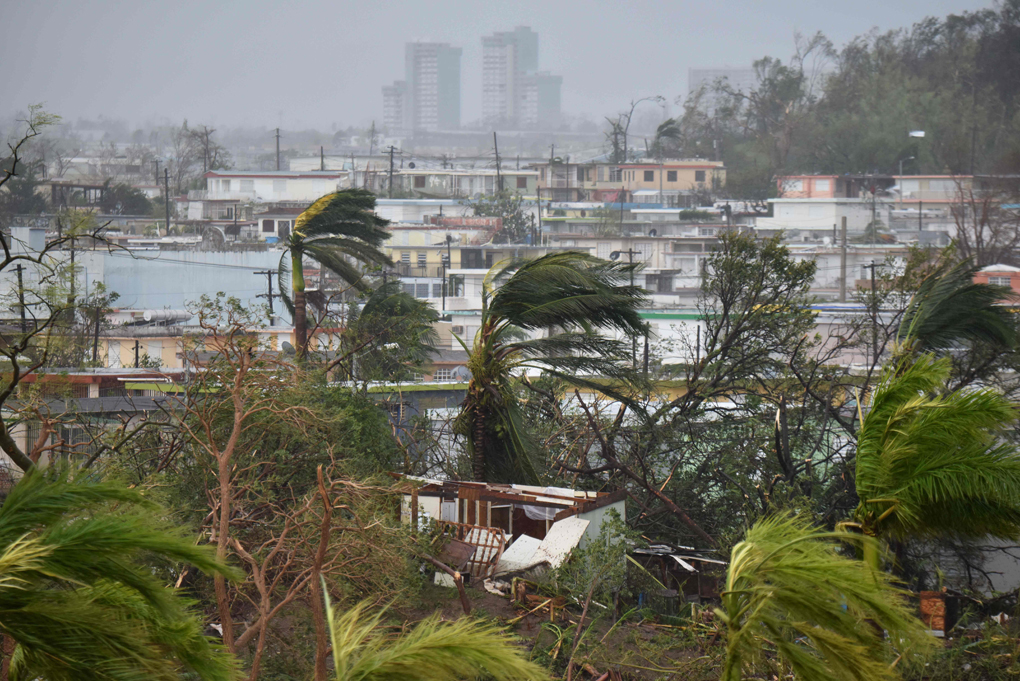 El desolador panorama que dejó María en la zona del Coliseo Roberto Clemente. Foto: AFP