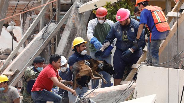 Terremoto en México. Foto: Reuters