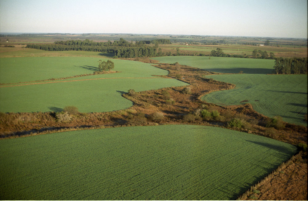 La evasión detectada en una inspección, generó que contribuyentes aumentaran sus pagos voluntarios. Foto: Archivos
