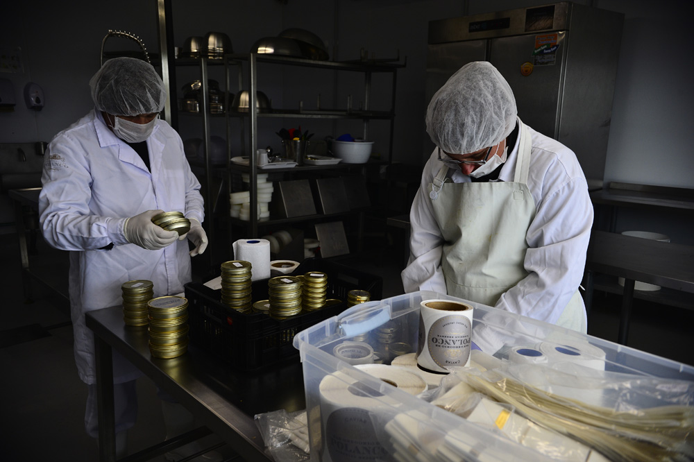 En San Gregorio la marca Polanco trabaja desde 2011 con volúmenes menores, pero intenta sumar variantes. Foto: G. Pérez