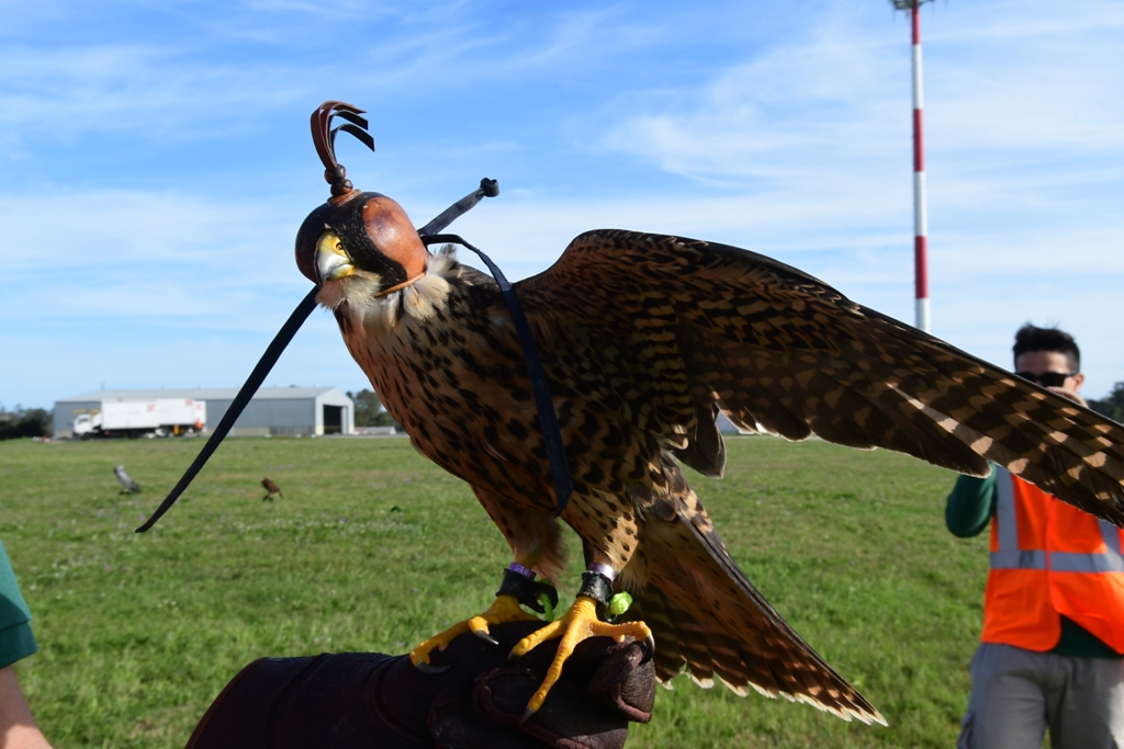 El aeropuerto de Carrasco en el Día de Patrimonio. Foto: Marcelo Bonjour