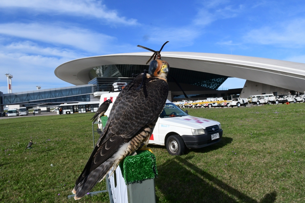 El aeropuerto de Carrasco en el Día de Patrimonio. Foto: Marcelo Bonjour