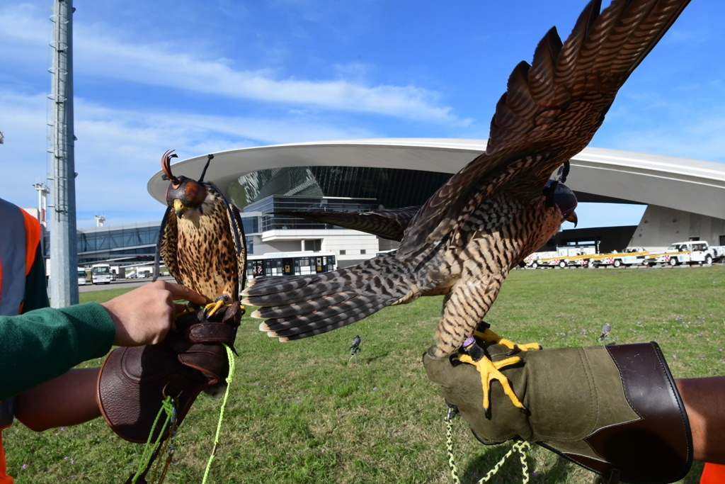 El aeropuerto de Carrasco en el Día de Patrimonio. Foto: Marcelo Bonjour