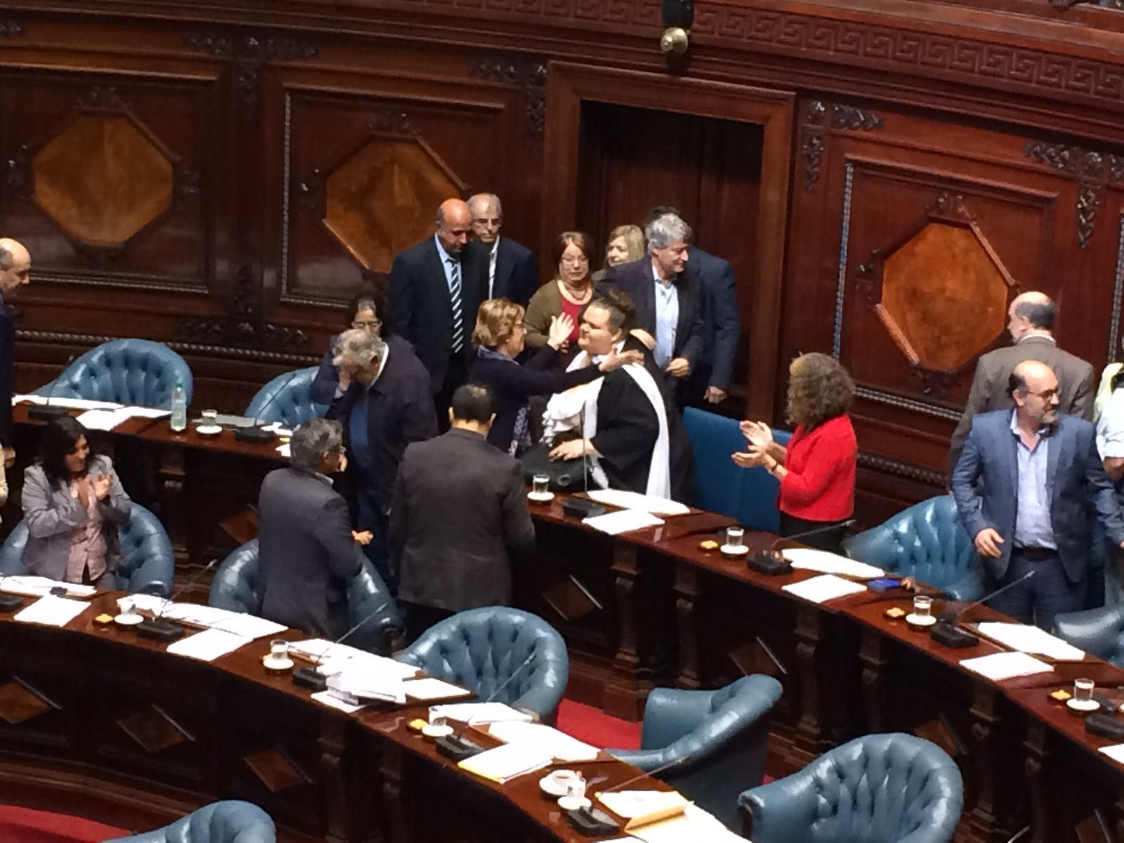 Cámara de Senadores.  Foto: Bruno Scelza