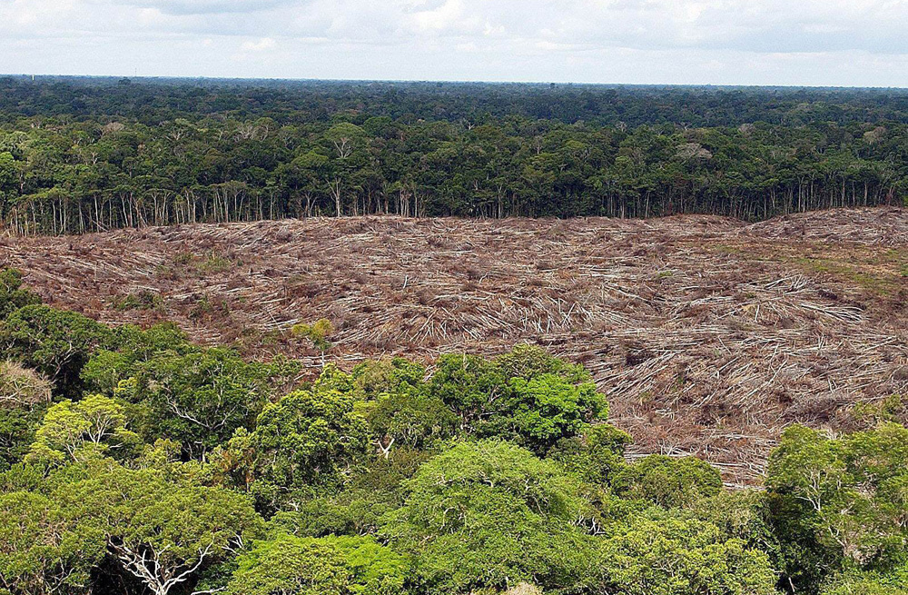 El actual ritmo de deforestación amenaza el cumplimiento de la meta que se impuso el gobierno brasileño. Foto: EFE