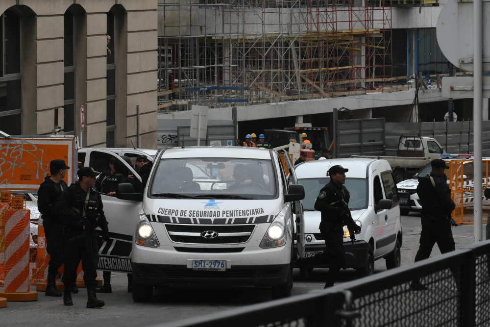 Tras dos fugas, el Pato Feo demostró que se puede escapar en cualquier momento. Foto. A. Colmegna