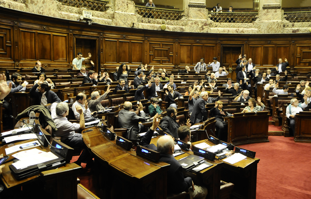 Los legisladores quieren contar con asesoramiento jurídico antes de decidir. Foto: D. Borrelli