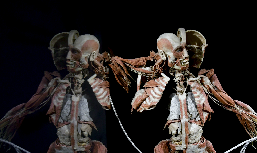 La exposición ha sido vista en 115 ciudades de todo el mundo. Foto: Fernando Ponzetto