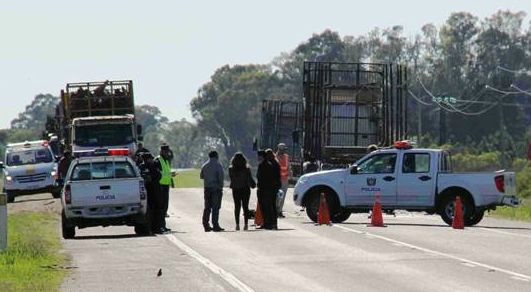 Murió al chocar contra un camión de UPM en Fray Bentos. Foto: Daniel Rojas