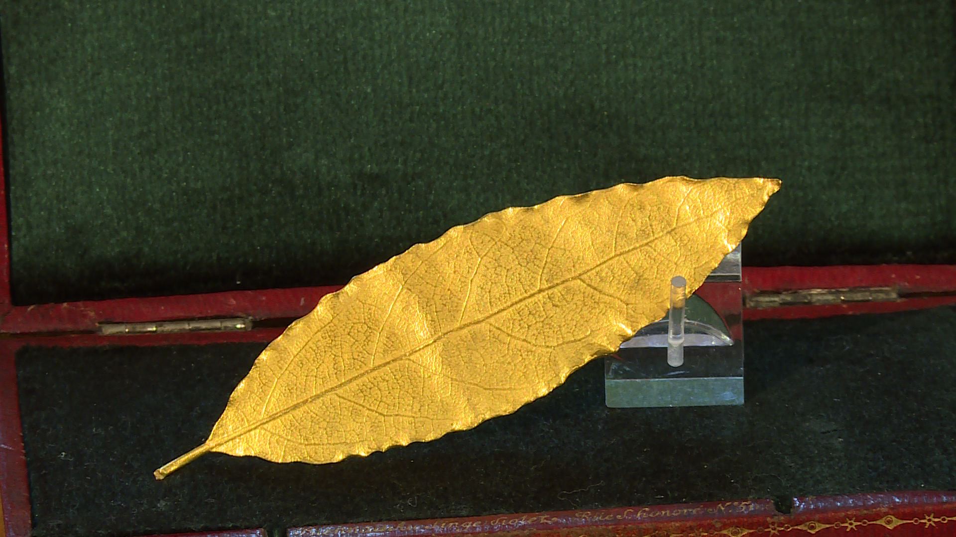 Hoja corona de napoleón