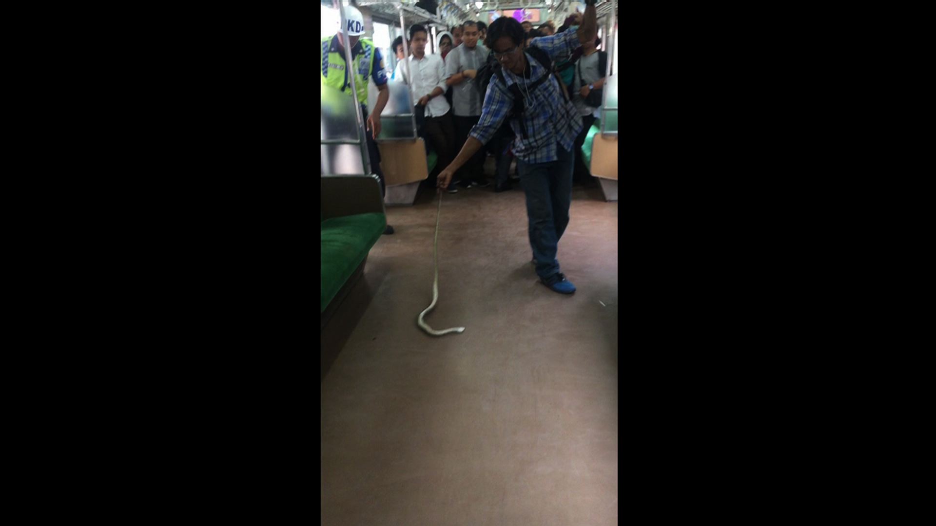 Un indonesio mata a una serpiente con las manos y seduce a las redes sociales