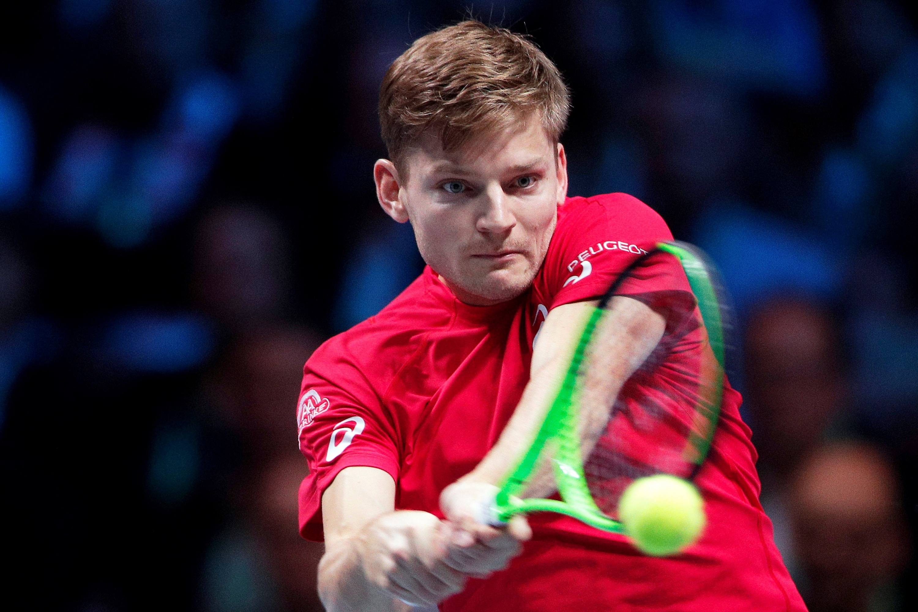 David Goffin. Foto: EFE.