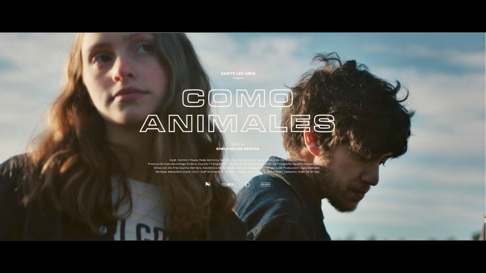 Como animales